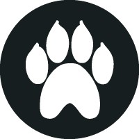 Planimal Interactive logo - Similar company to Planimal