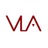 V-Line Aesthetics logo - Similar company to Brhe Group, Cpas