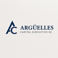 Arguelles Capital Ejecutivo logo - Similar company to Adiós Multas Mx