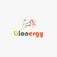 Liionergy LLP logo - Similar company to Voltbee