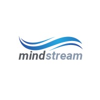 MindStream - Artificial Intelligence for Everyone logo - Similar company to Dreamviz Software Development