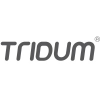 Tridum E-Security Llc