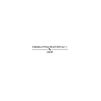 CALZATURIFICIO BUCCIONI S.R.L. logo - Similar company to Intobrands (Pty) Ltd