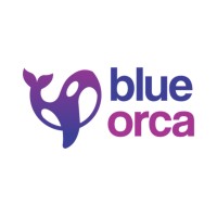 Blue Orca logo - Similar company to Extremepc