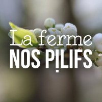 Ferme Nos Pilifs logo - Similar company to Twi