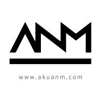 A.N.M. & Company logo - Similar company to Sachdeva & Co