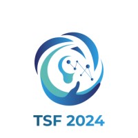 TDC Summit Fest 2024 logo - Similar company to Tdc Its