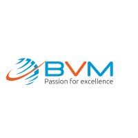 BVM IT Consulting Services India Private Limited logo - Similar company to Maroon It Services & Consulting Ltd