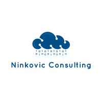 Ninkovic Consulting logo - Similar company to Contiyo
