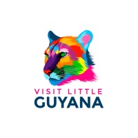 Visit Little Guyana LLC logo - Similar company to Route Eleven