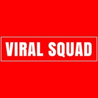 Viral Squad LLP logo - Similar company to Pranetr Tribes