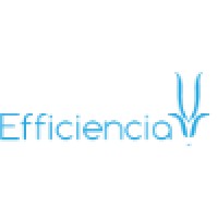 Efficiencia