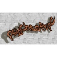 Psychsoftpc logo - Similar company to Sikrig Llc