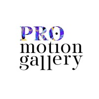 Promotion Gallery logo - Similar company to Digitize Tech