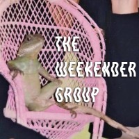 The Weekender Group logo - Similar company to Contactspace