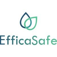 EfficaSafe logo - Similar company to Lemon Well Med