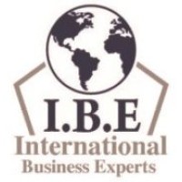 IBE Consulting logo - Similar company to Ibe Consultancy