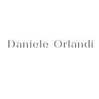 Daniele Orlandi logo - Similar company to Del Vecchia Group