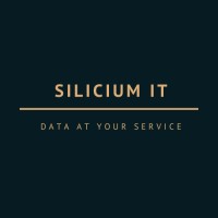 SILICIUM IT logo - Similar company to Silicium Consulting Gmbh