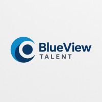 BlueView Talent logo - Similar company to Tp Solutions