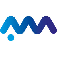 AUDITMEDIA logo - Similar company to Skydone Solutions Sl