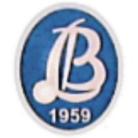 Bakırköy High School logo - Similar company to Final Dershanesi Bakırköy