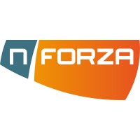 NForza logo - Similar company to Delft Solutions