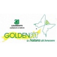 Goldenfit logo - Similar company to Kido Music