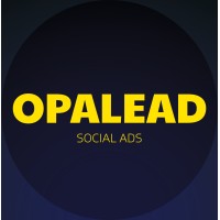 Opalead logo - Similar company to Safeo