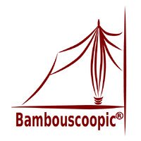 BAMBOUSCOOPIC logo - Similar company to Bigbamboo