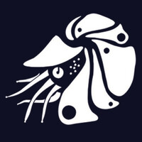 White Nautilus