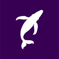 Banxe logo - Similar company to Blotter
