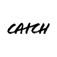 Catch Digital logo - Similar company to Yyc3