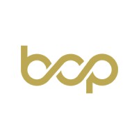 Boundless Capital Partners logo - Similar company to Kurlica Ltd.