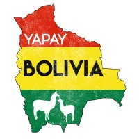 Yapay Bolivia logo - Similar company to Adams Technology Group