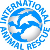 International Animal Rescue logo - Similar company to Margaret Green Animal Rescue
