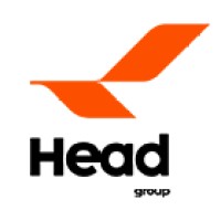 Shandong Head Group Co.,Ltd. logo - Similar company to Celludye
