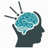 Cyber Sapiens logo - Similar company to Brain Wave Network