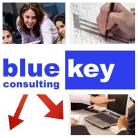 BlueKey Consulting Srl logo - Similar company to Fgr Consulting