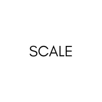 Scale Grp logo - Similar company to Teckyou