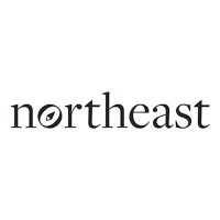 Northeast logo - Similar company to Neosystem