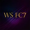 Football Agency WS FC7 logo - Similar company to Ws Fc7