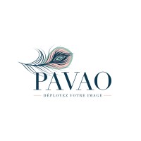 PAVAO logo - Similar company to Dmv Brasil Equipamentos Industria E Com̩Rcio Ltda.