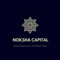 Noksha Capital logo - Similar company to Luxtrategy