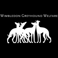 Wimbledon Greyhound Welfare logo - Similar company to Greyhound Media