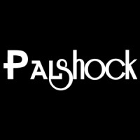 Palshock Technology (Beijing) LLC