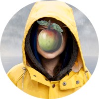 Climaticamente logo - Similar company to Coursalytics