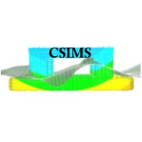 CSIM SYSTEMS PTE LTD logo - Similar company to Csims-California Society Of Industrial Medicine And Surgery