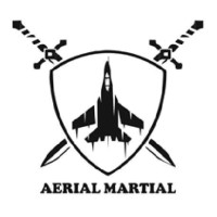 TEAM AERIAL MARTIAL logo - Similar company to Vulcan Robotics Team