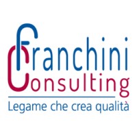 Franchini Consulting logo - Similar company to Safety Target Srl